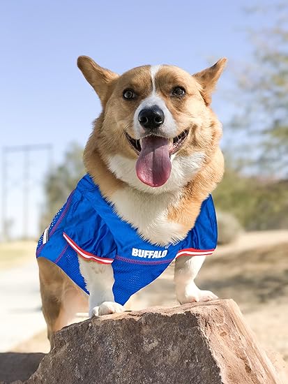 buffalo bills dog apparel