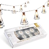 Harry Potter Fairy Lights Potion Bottle Hanging String Lights 10 LED 5ft for Bedroom Dorm Living Room Indoor Decor Gifts for Kids Adults