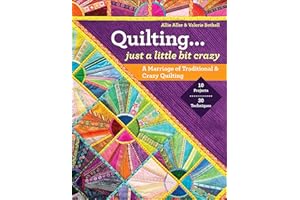 Quilting... Just a Little Bit Crazy: A Marriage of Traditional & Crazy Quilting