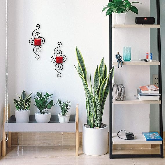 Amazon Com Candelabro Para Colgar En Pared Elegantes Portavelas