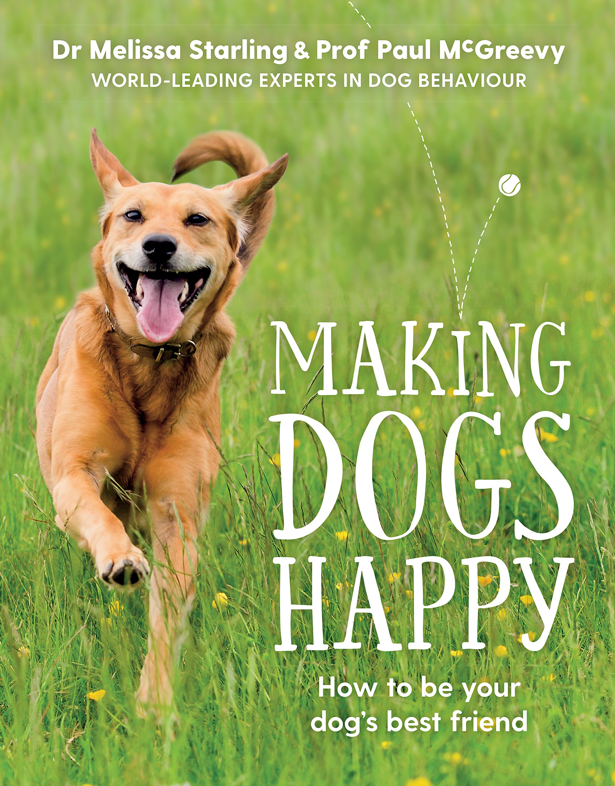 making dogs happy