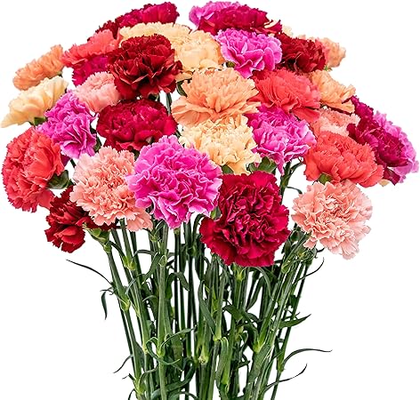 amazon flowers for mother's day
