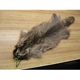 Tanned Raccoon Hide Small Pelt Fur Coats Hats