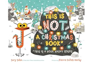 This Is Not a Christmas Book* (*This Is a Book About Rocks)