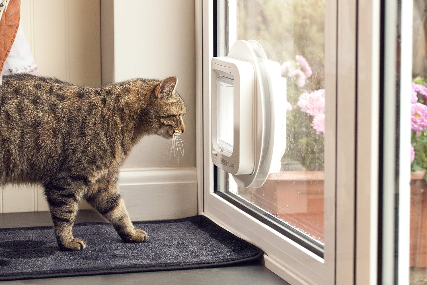 sure petcare cat flap