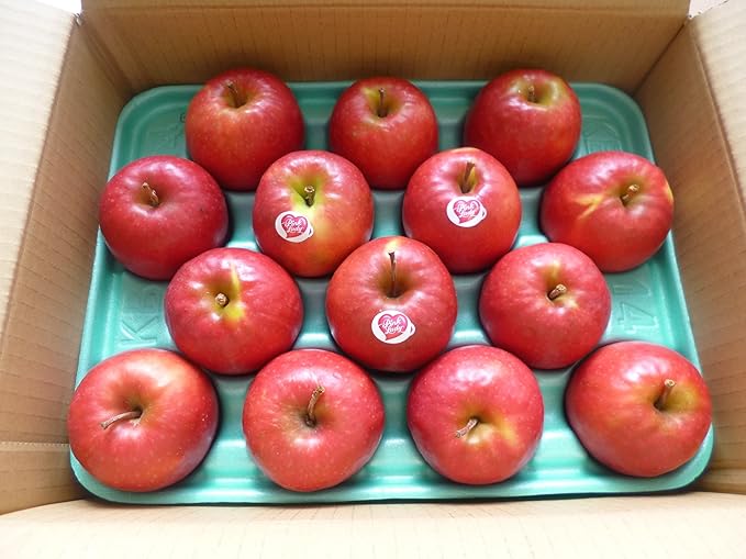 心に強く訴えるりんご ピンク レディ 最高の花の画像