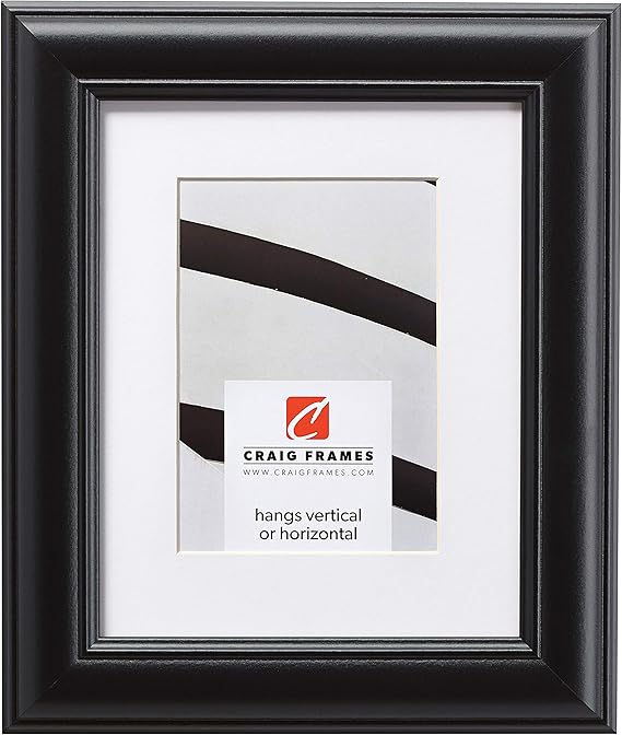 Craig Frames Dakota, 20 x 24 Inch Satin Black Picture Frame
