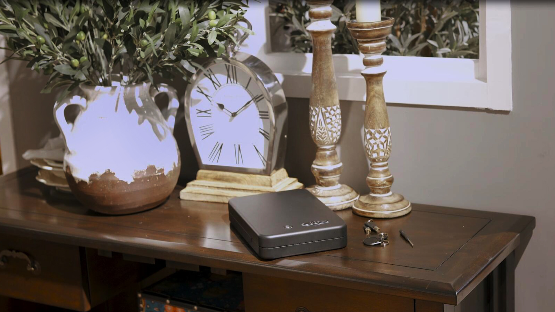 6 RPNB+Pistol+Handgun+Security+Access