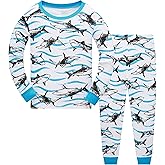 Popshion Little Boys Pajamas Sets Glow in Dark Dinosaur 100% Cotton 2 Piece Toddler Clothes Kids Pjs Sleepwear Size 2-10T