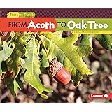 From Acorn to Oak Tree (Start to Finish, Second Series)