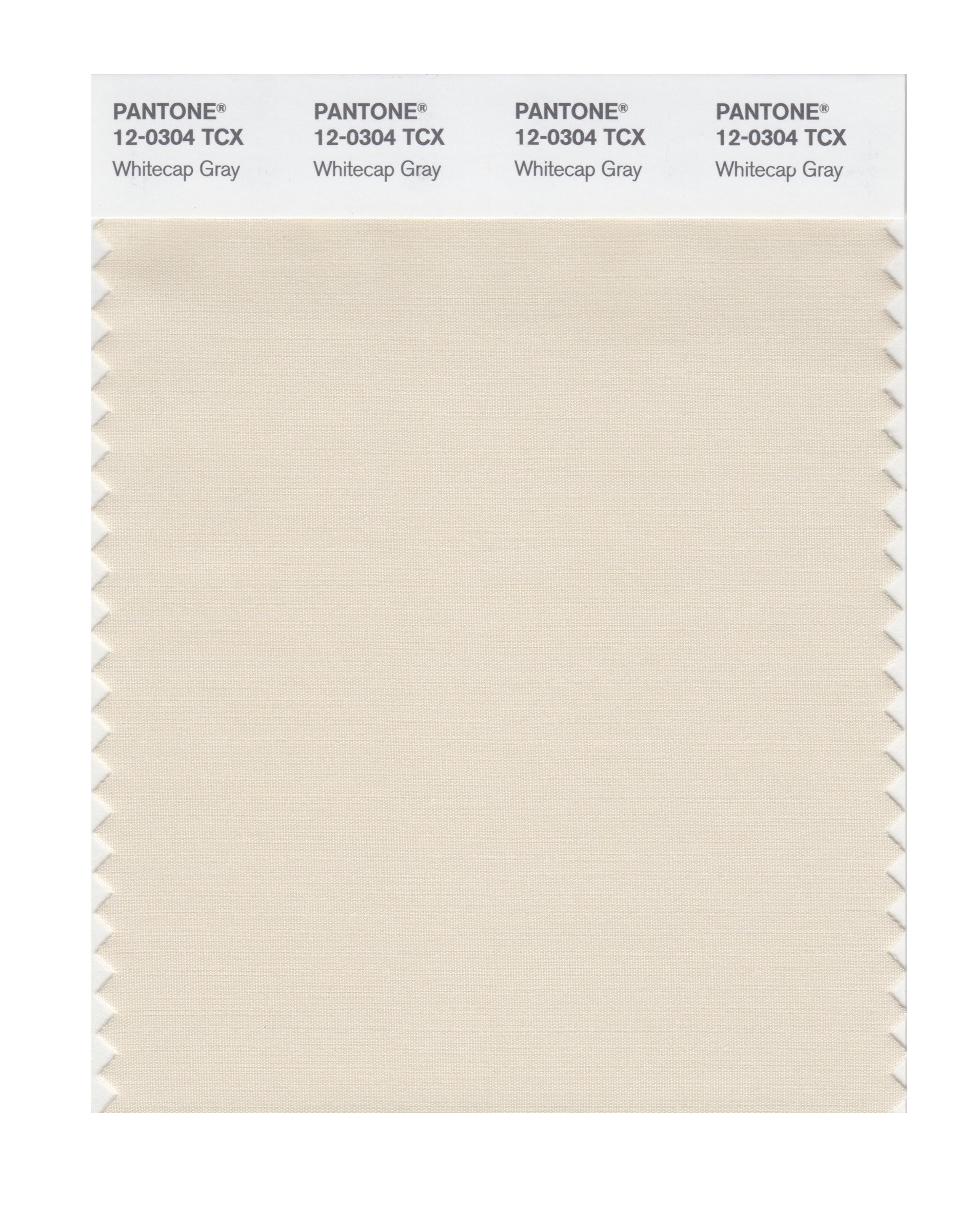 PANTONE Smart 12-0304X Color Swatch Card, Whitecap