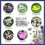 Seedball Shade Mix Seed Bombs Wild Flower Tin 20 Balls UK Brand view 4