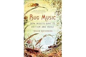 Bug Music: How Insects Gave Us Rhythm and Noise