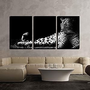 wall26 - 3 Piece Canvas Wall Art - Black and White Image of a Leopard Lying on The Ground - Modern Home Decor Stretched and Framed Ready to Hang - 16"x24"x3 Panels