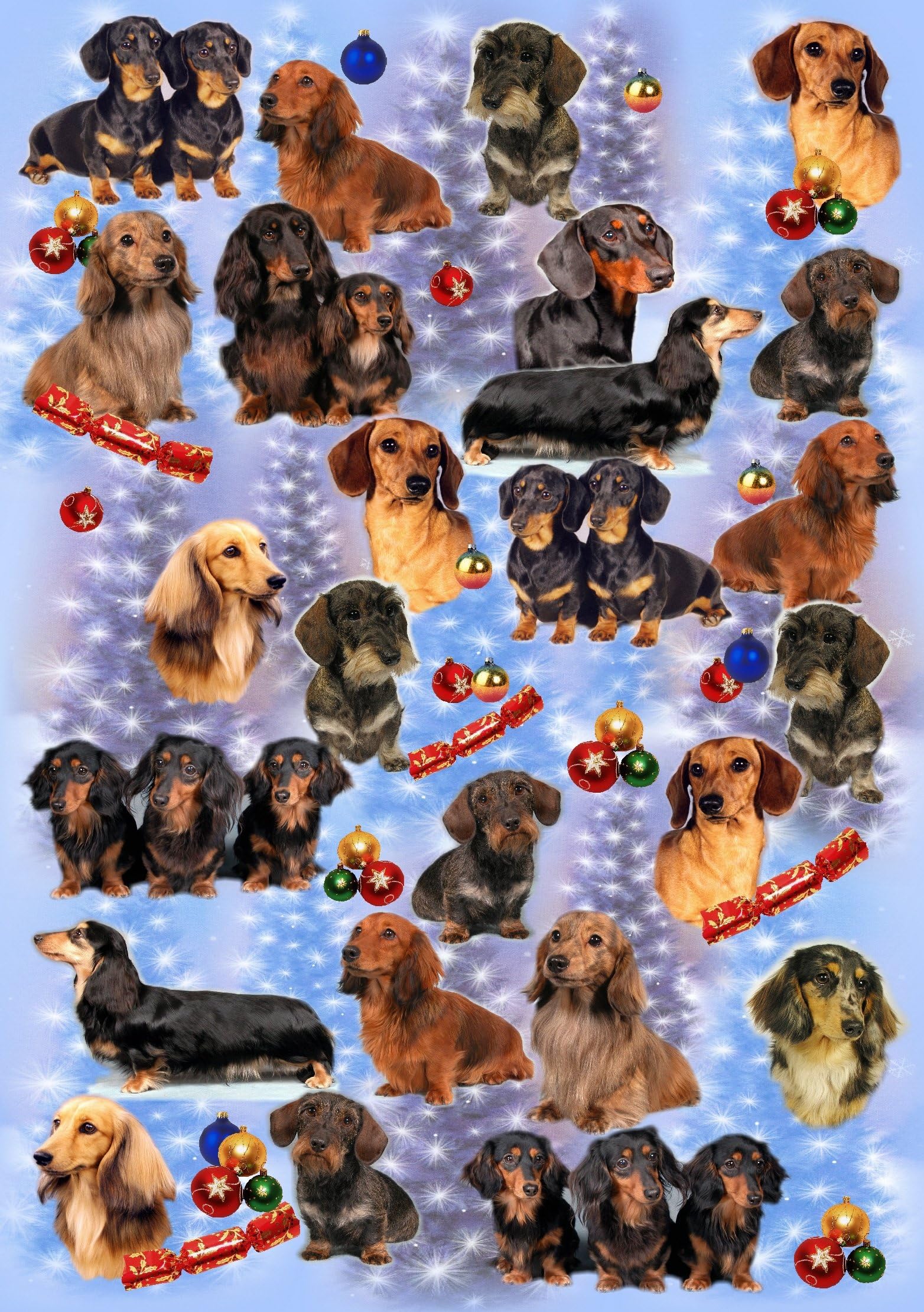 Dachshund Christmas Wrapping Paper Design by Star Print
