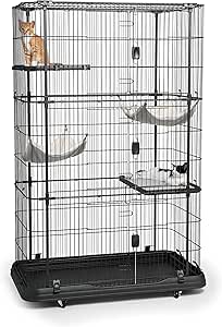 prevue cat home