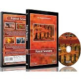 Nature DVD - Forest Seasons - Scenery From All Seasons from the Forest with Music and Nature Sounds