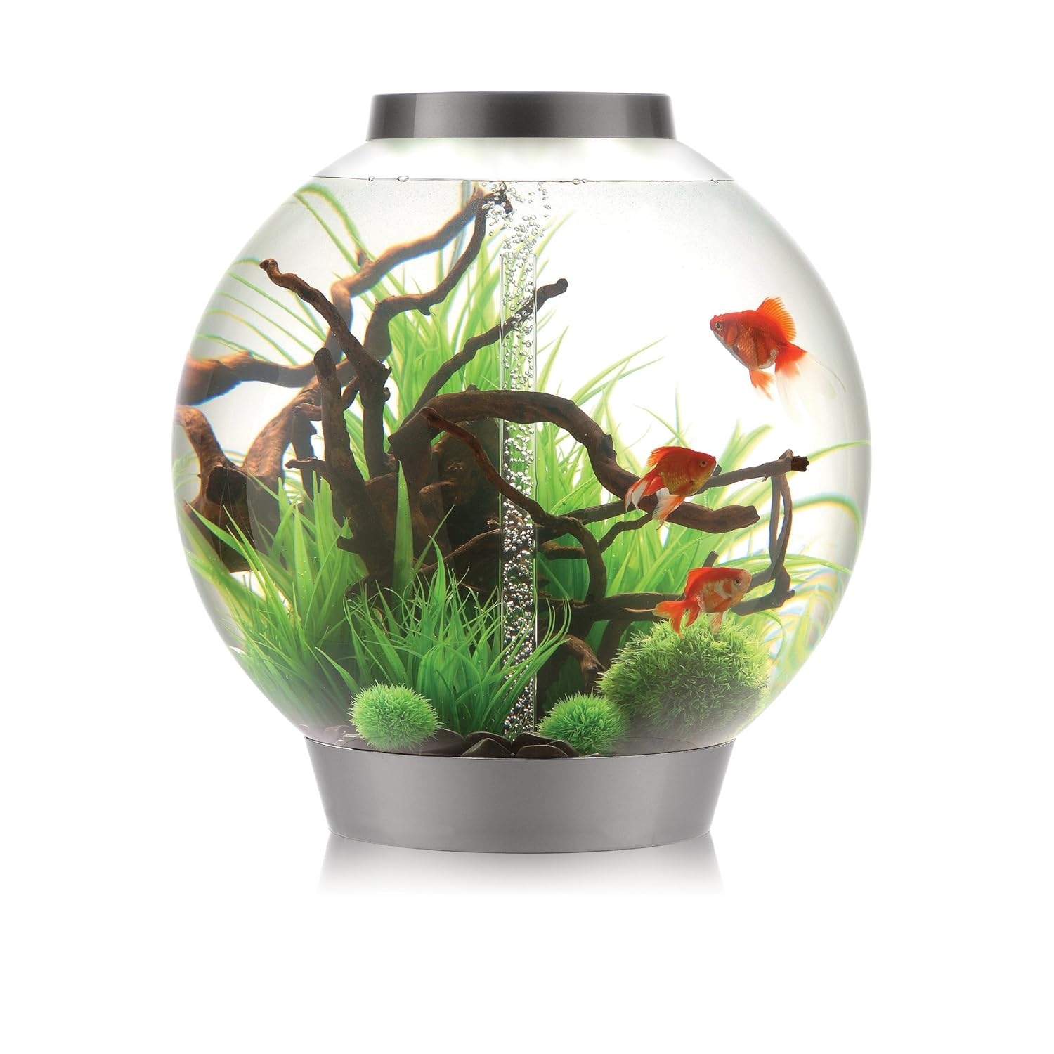 Sparkling Clean The Ultimate Guide to Effective Biorb Cleaning for a