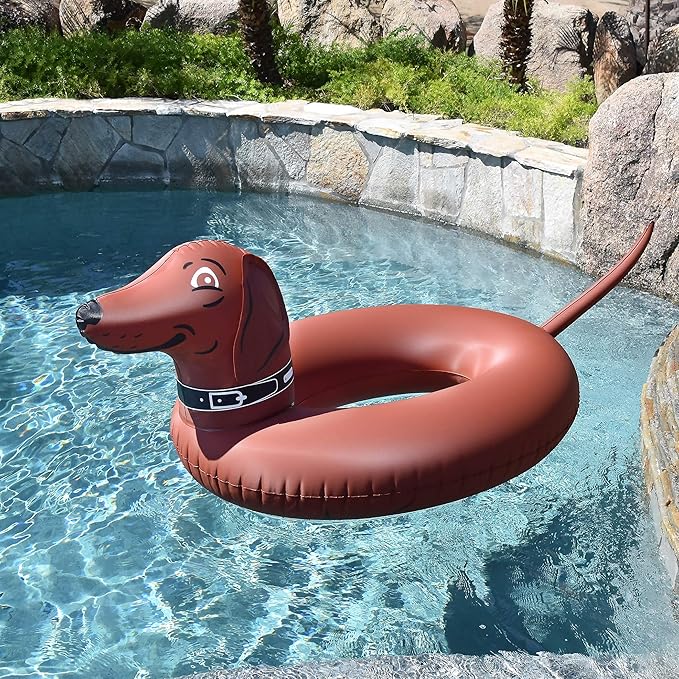 dachshund pool float amazon