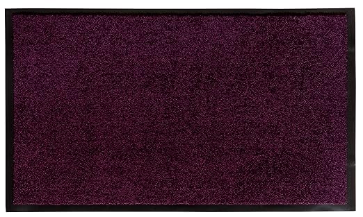 andiamo Schmutzfangmatte Fußabtreter Türmatte Fußmatte Sauberlaufmatte Schmutzabstreifer Türvorleger – Eingangsbereich In/Out