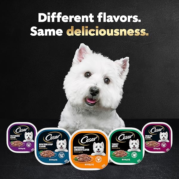 CESAR FILETS IN GRAVY ADULT WET DOG FOOD, PRIME RIB FLAVOR, 3.5 OUNCE
