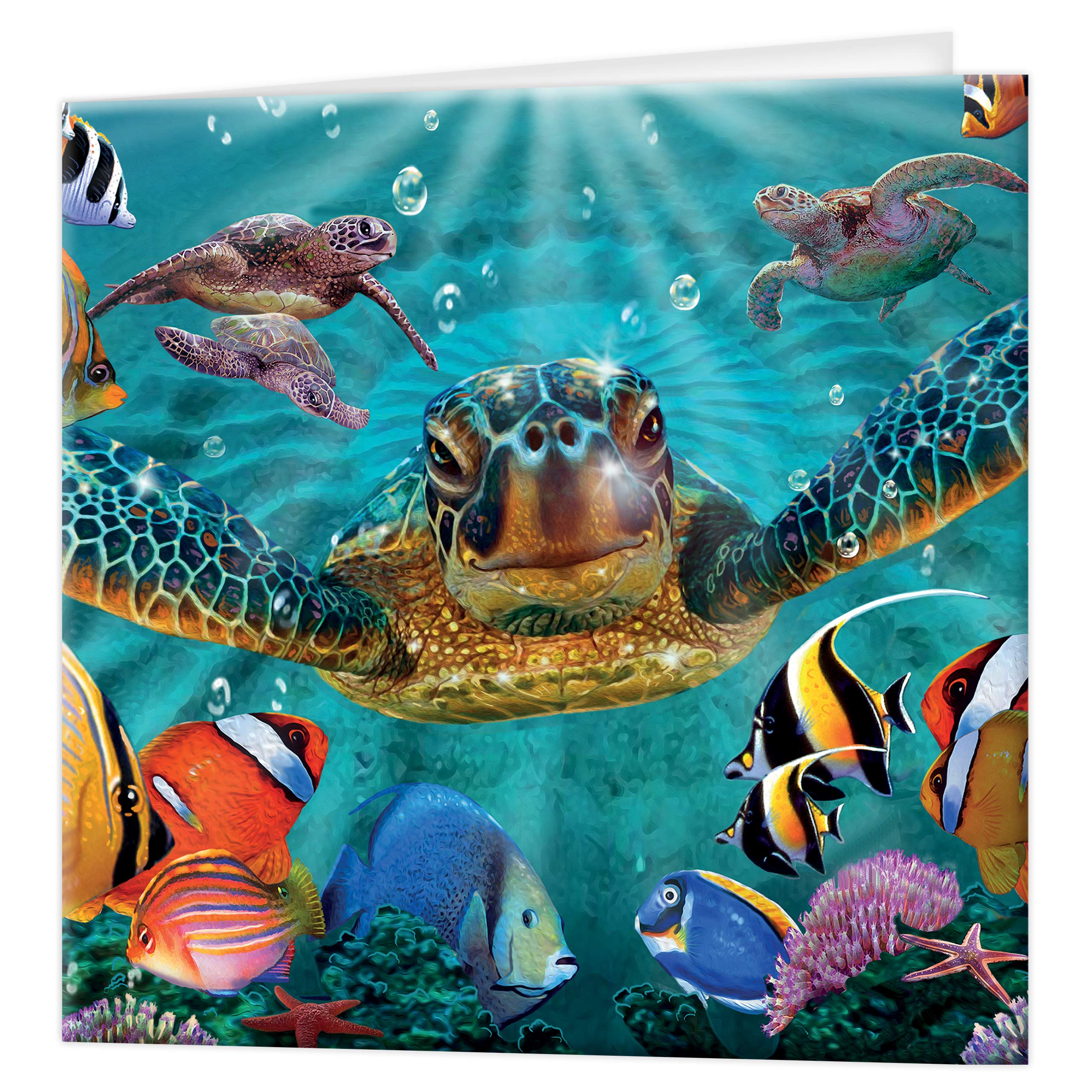 3D LiveLife Greeting Card - Tiny Bubbles from Deluxebase. Lenticular 3D Blank Greeting Cards with Envelopes. Sea Turtle All Occasion Greeting Cards featuring Original Artwork by Steve Sundram.
