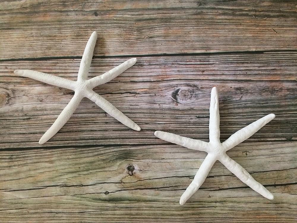 Starfish Home Decor Wall Hangings, Set of 2 Handmade