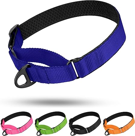 padded martingale dog collars