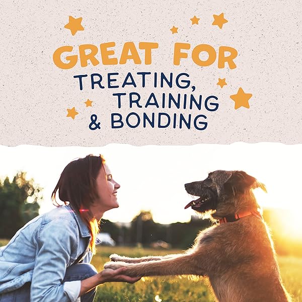 NATURAL BALANCE LIMITED INGREDIENT REWARDS JUMPIN’ STIX, GRAIN-FREE DOG TREATS FOR ADULT DOGS OF ALL BREEDS, DUCK RECIPE, 10 OUNCE (PACK OF 1)