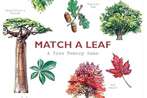 Match a Leaf: A Tree Memory Game