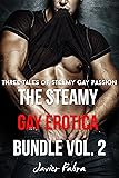 The Steamy Gay Erotica Bundle Vol. 2