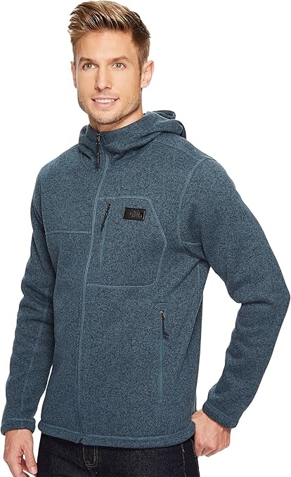 the north face men's gordon lyons hoodie