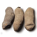 Topland Foods African Yam Tubers | 2 Tubers | 5 Lbs