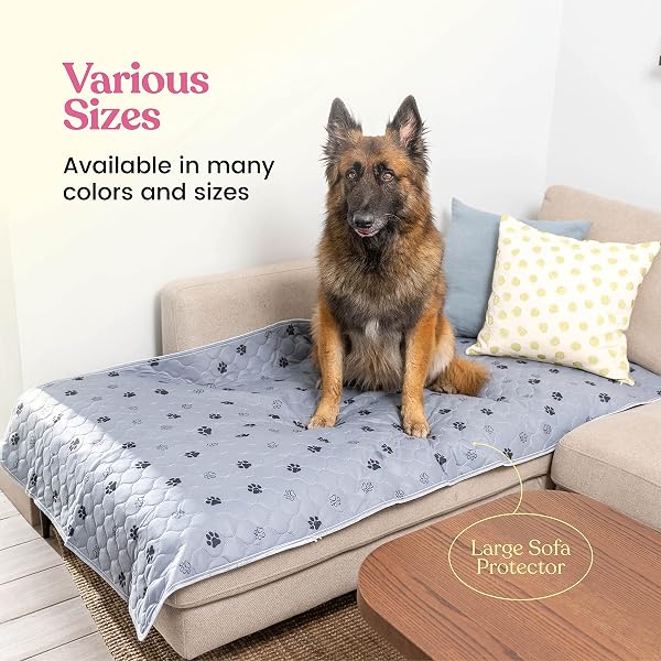 SUPER ABSORBENT WASHABLE PEE PADS FOR DOGS – 2-PACK SUPERIOR REUSABLE PUPPY PADS PET TRAINING PADS –100% WATERPROOF DOG PEE PAD PROTECTS AGAINST URINE LEAKAGE NON-SLIP GRIP PREVENTS SLIPPING& BUNCHING