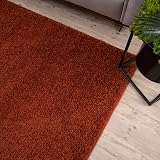 THE RUGS Living Room Rug Shaggy 30mm Thick 140x200 cm Terra Colour view 7