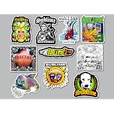 Ska Reggae Punk Rock Sticker Pack (10 Stickers) 90s Alternative Band Vinyl Decal Waterproof Durable Stoner Designs Collectible California Style Music Gift Guitar Laptop Window car Bumper Decoration