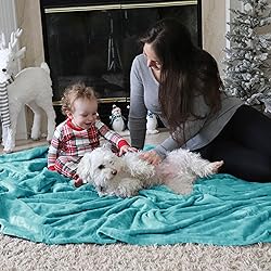 Bedsure GentleSoft Fleece Throw Blanket for Couch