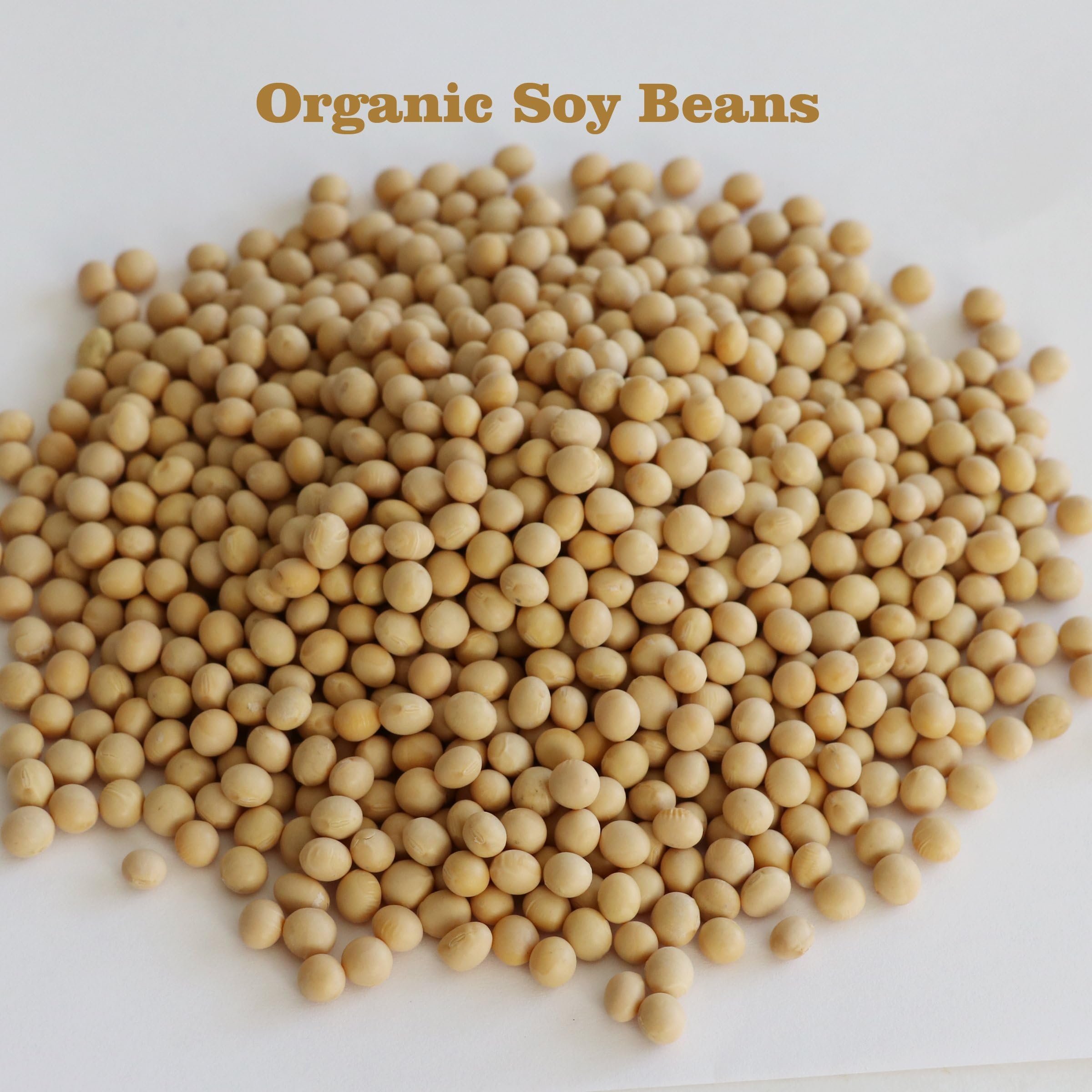 ORGANIC SOY BEANS, BULK SOYA Non-GMO nO PRESERVATIVES By Dmarketline (10 lb)