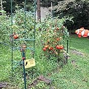 Amazon.com : Zareba KGPACZ AC Garden Protector Electric Fence Kit