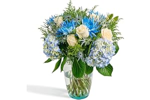 Bloom & Go Flowers Fresh Bouquet - Blue Sky, Fresh Cut Farm Direct Flowers - 15 Stems in Plastic-Free Packing - Swift 3-Day Delivery - Stunning Array of White Rose, Blue Spider, Solidago - No Vase