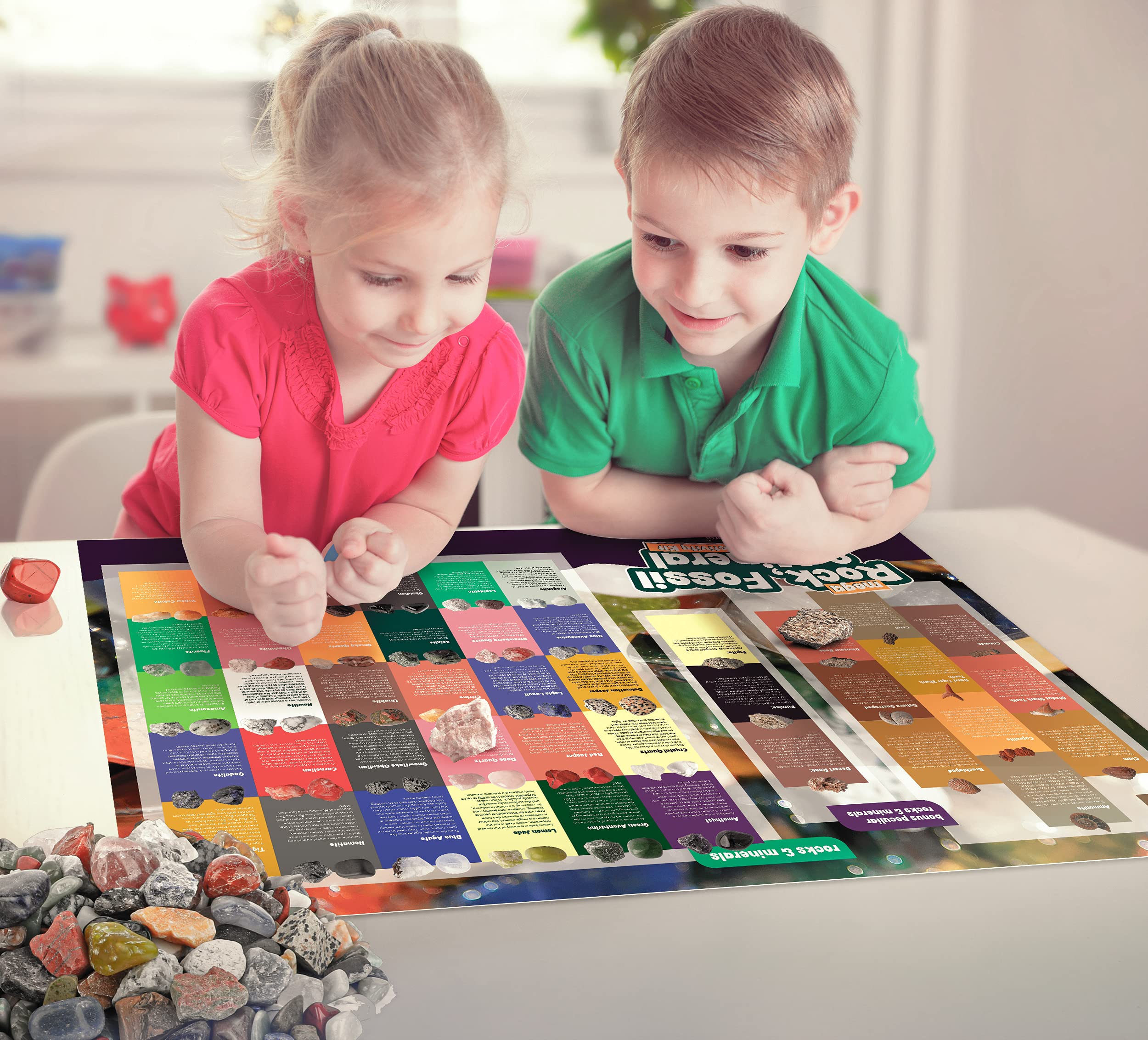 Dan&Darci Rock Collection for Kids - Includes 250+ Bulk Rocks, Gemstones & Crystals + Genuine Fossils and Minerals - 2 Lbs. - Geology Earth Science STEM Toys Activity, Gifts for Boys & Girls Ages 6+