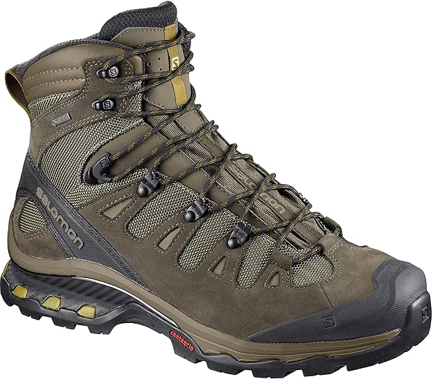 Salomon Men's Quest 4D 3 GTX Backpacking Boots, Wren/Bungee Cord/Green Sulphur, 9.5 D US