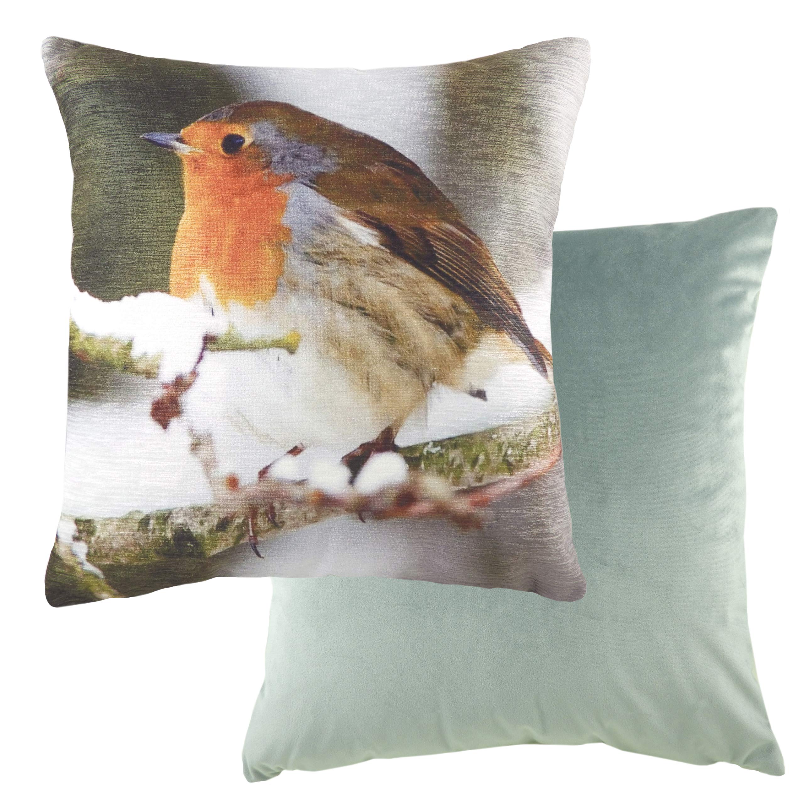 Evans Lichfield Photo Robin Polyester Filled Cushion, Multi, 43 x 43cm