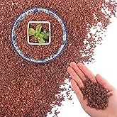 Mulctun 45Lb Horticultural Lava Rock - Succulent Soil Amendment, Decorative Cactus Soil Potting Mix, Volcanic Rock for Aquarium, Fairy Gardening Top Dressing, Plant Drainage
