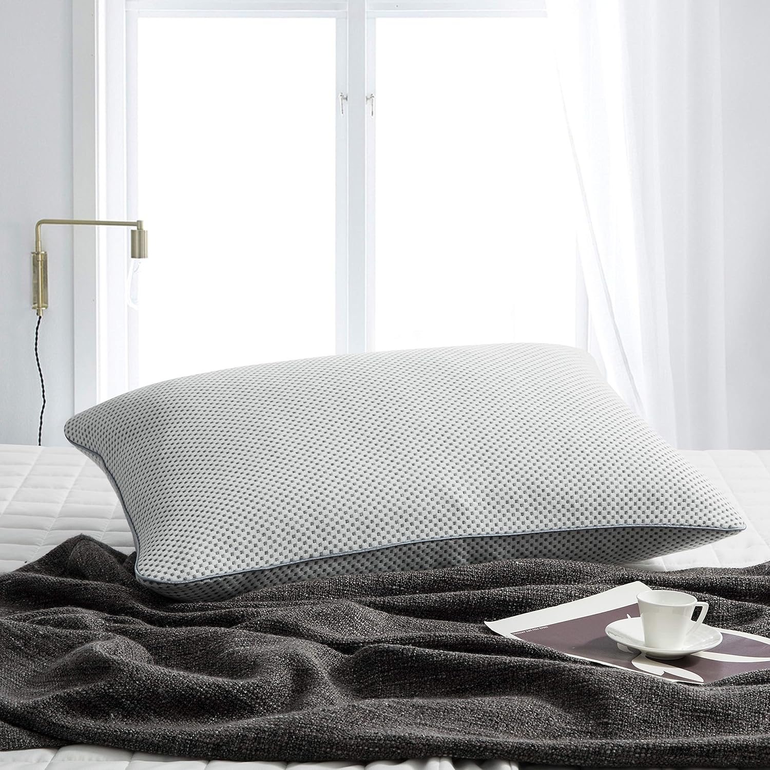 puredown Natural Goose Down Feather Pillow with Breathable Bamboo Charcoal Fabric Cover Soft Pillow,Set of 1 Standard Size: Home & Kitchen