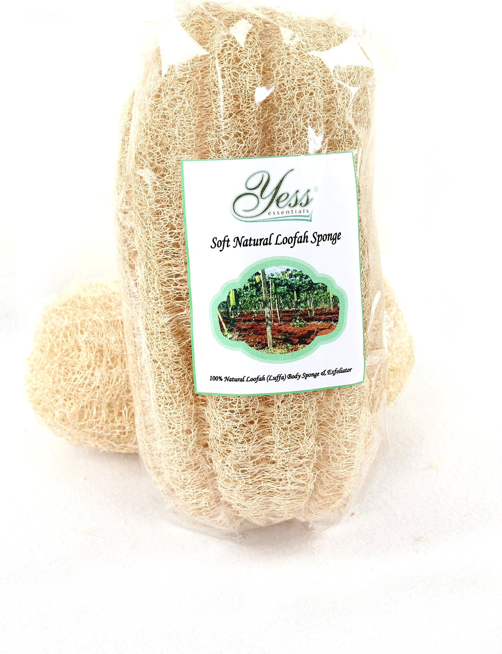 Yess EssentialsSoft Natural Loofah Sponge (Standard Size)