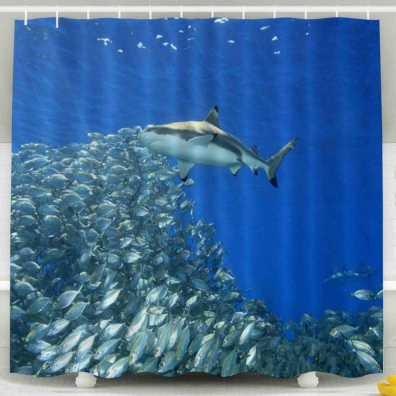 Asdecmoly Eco-Friendly Shower Curtain, Hooks Waterproof Bathroom Shower Curtains 78X72 inches Reef Shark Swimming Above School Fish Sunbeams Through The Blue Water Background Solomon Islands Sea