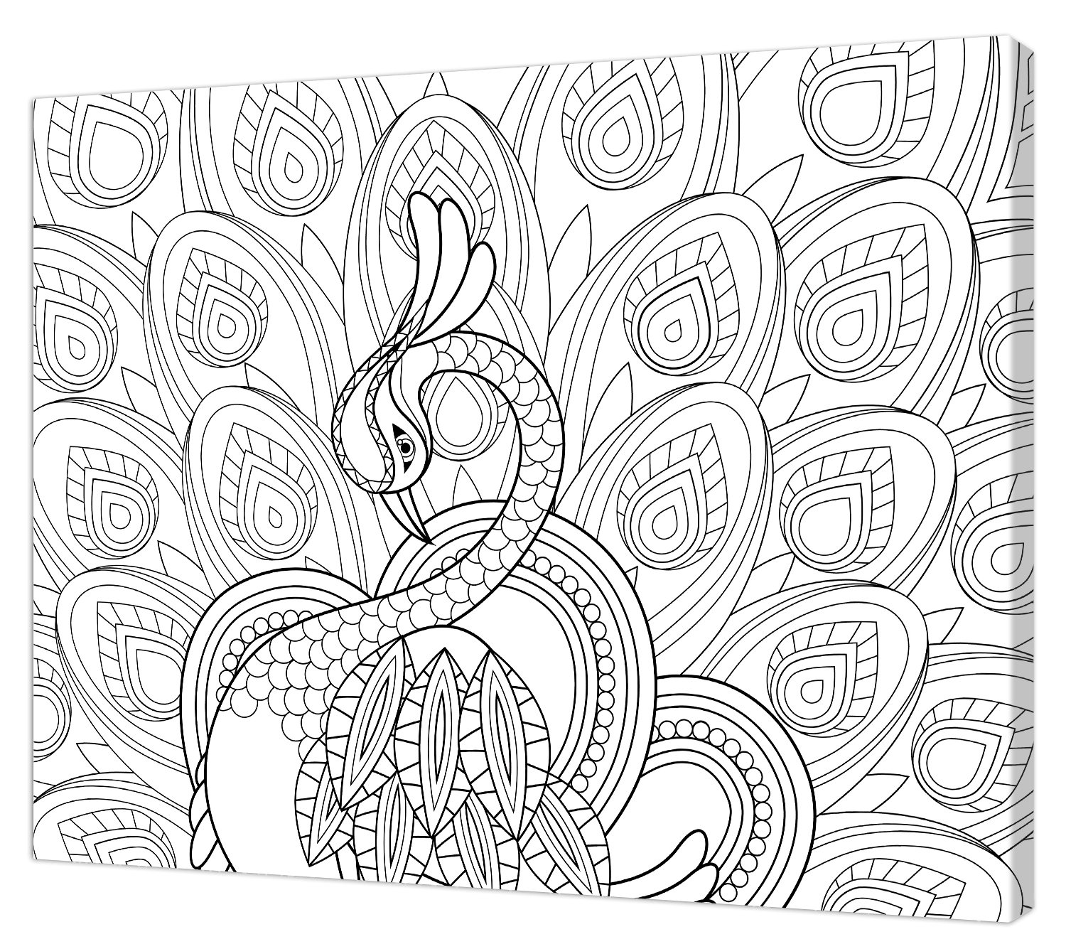 Pintcolor 7807.0 Frame with Printed Canvas for Coloring, Fir Wood, Cotton, White/Black, 40 x 50 x 3.5 cm, 100% Made in Italy โ image 1