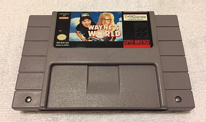 snes wayne's world