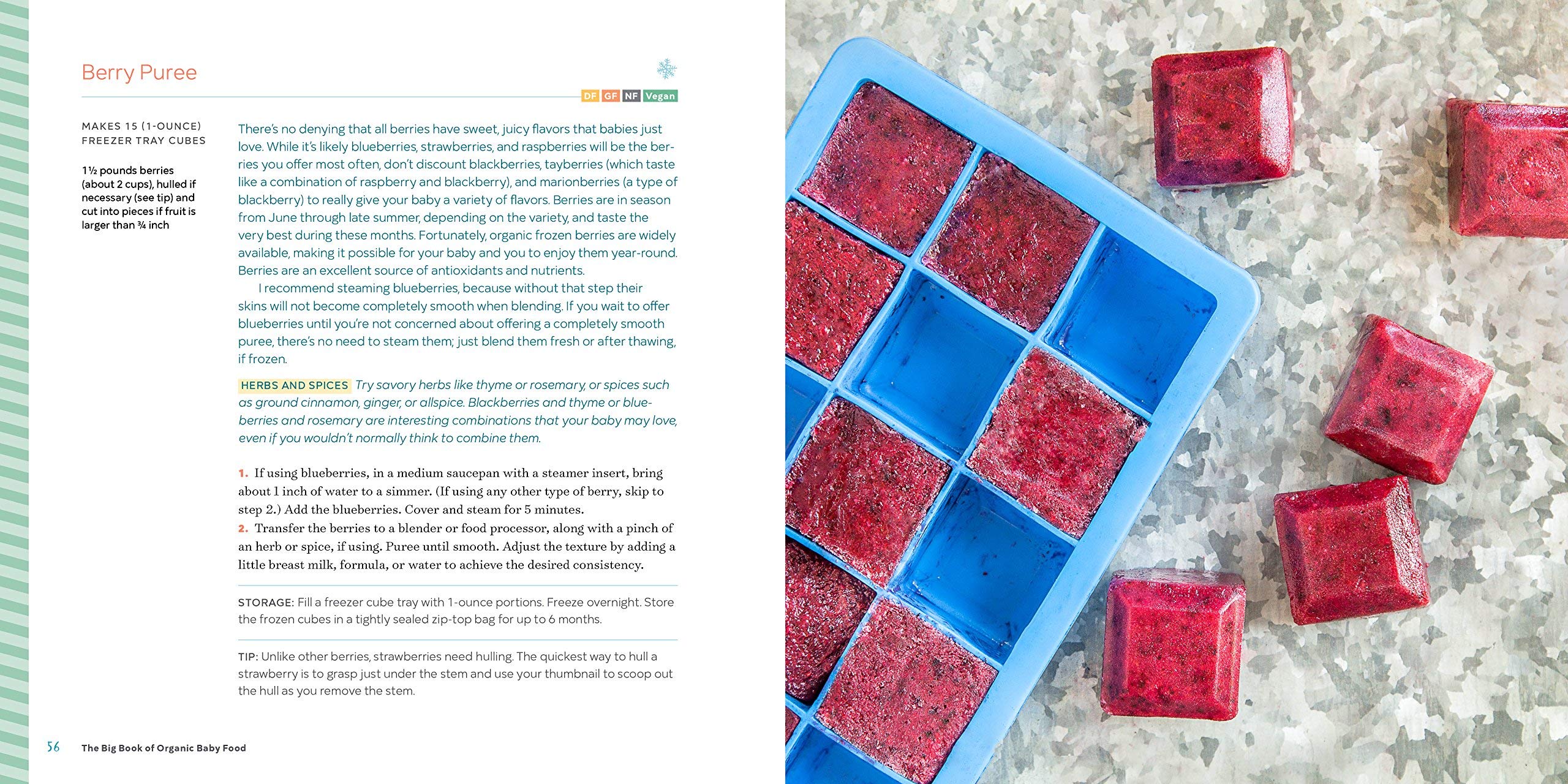 organic baby food book